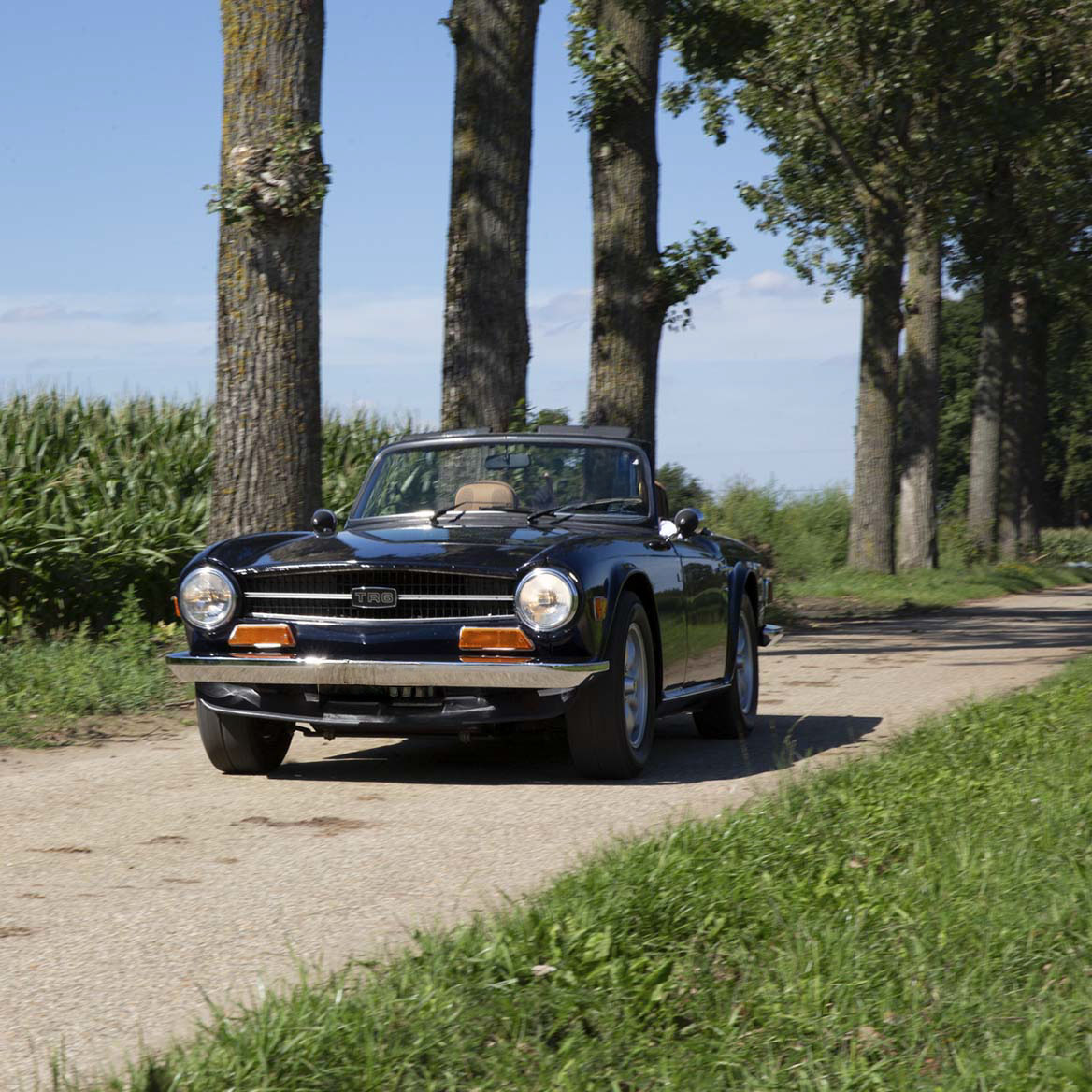 Triumph TR6